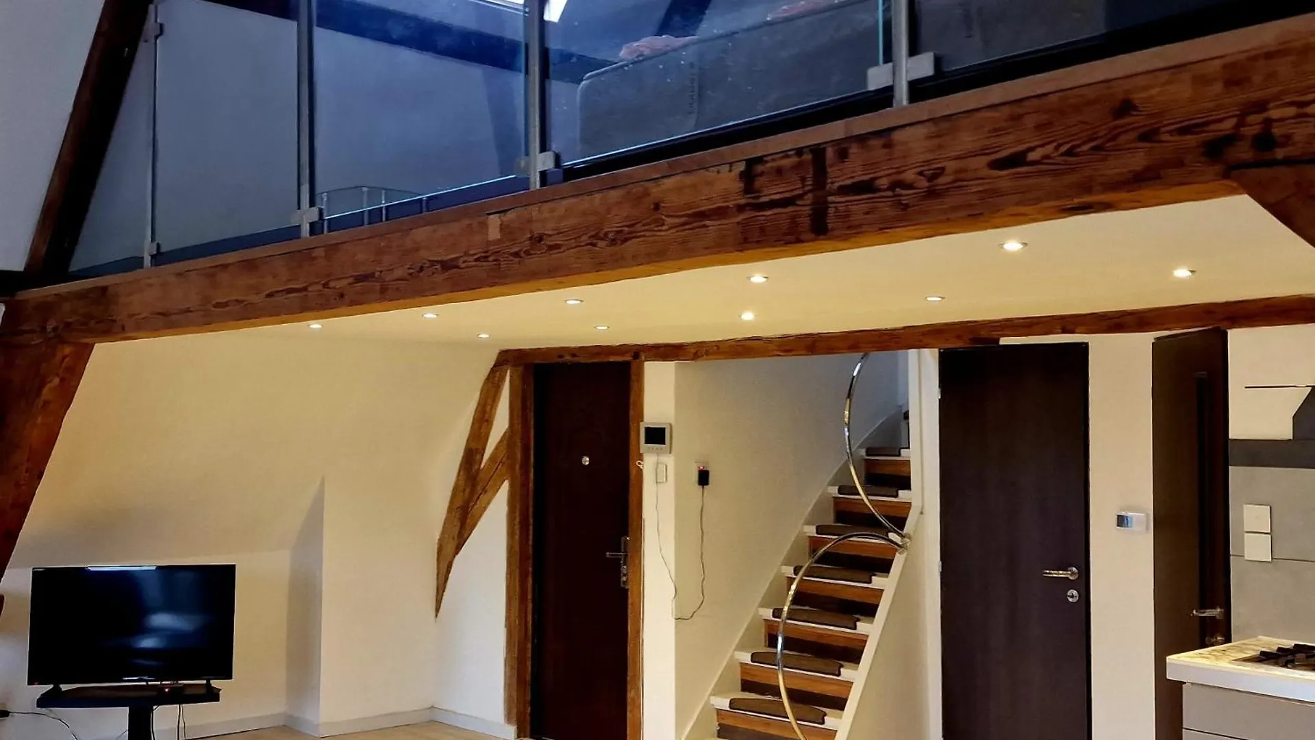 Urban Oasis - Luxe Cozy City Centre Big Appartement Schiedam Apartment